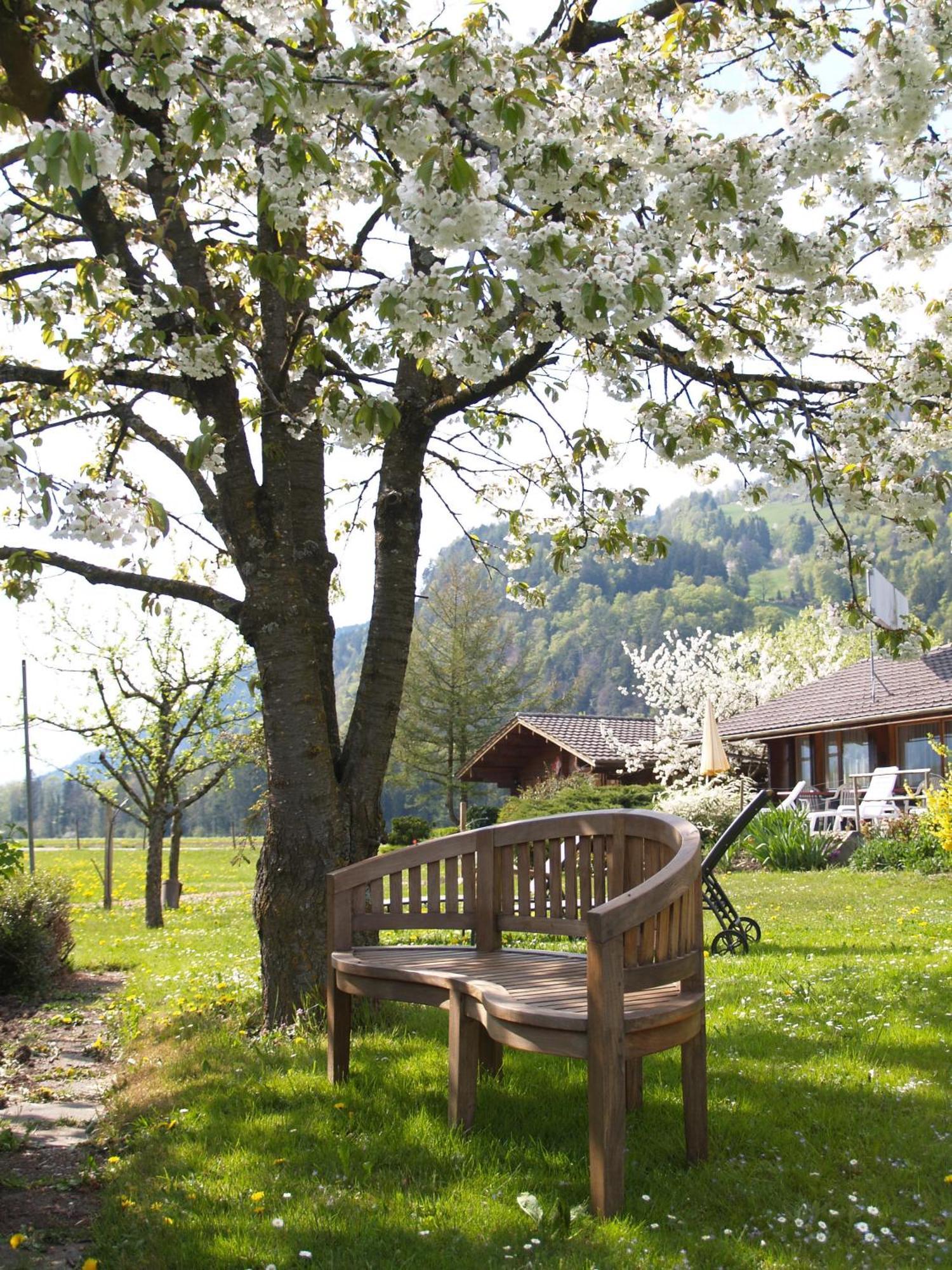 Salzano Basic Rooms Interlaken Exterior foto